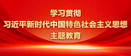 美女无聊日B视频学习贯彻习近平新时代中国特色社会主义思想主题教育_fororder_ad-371X160(2)